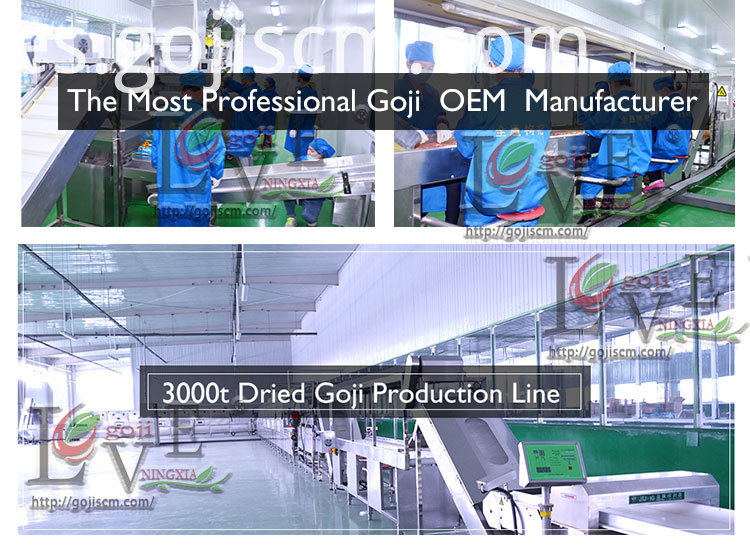 Línea de producción certificada natural de GOJI BERRY Natural Certificated GOJI BERRY production line